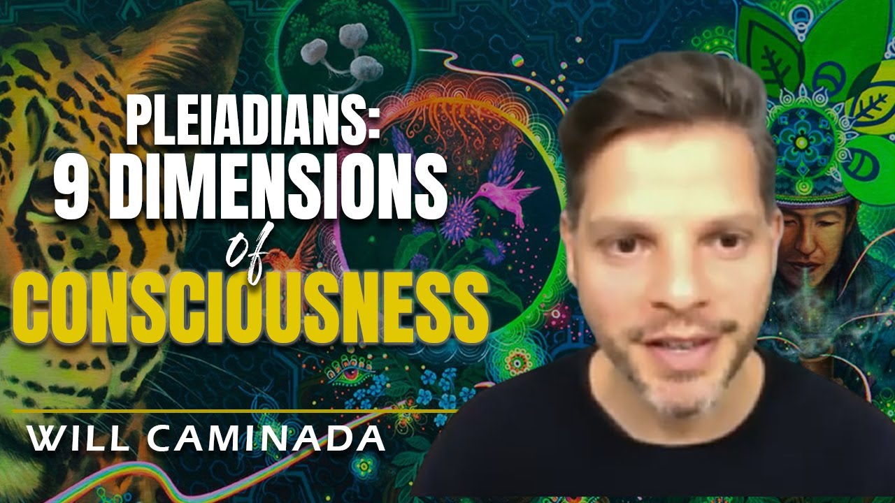 Pleiadians: The 9 Dimensions Of Consciousness | Will Caminada