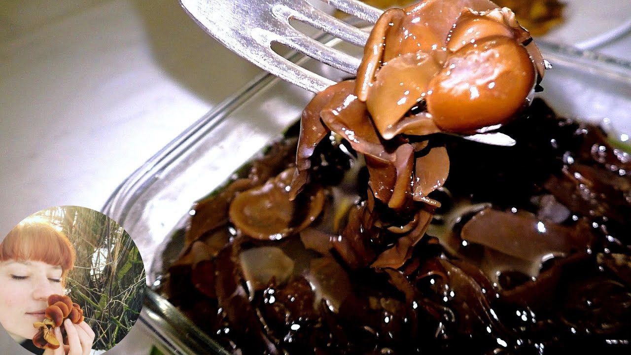 Бдюда ИЗ ВЕШЕНОК И ДРЕВЕСНЫХ ГРИБОВ (Аурикулярии уховидной). Грибная кулинария