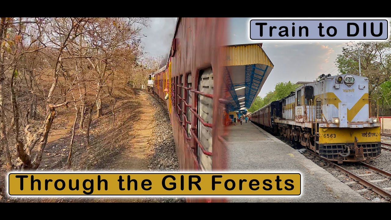 JUNAGARH to DELVADA : Meter Guage Train Journey to DIU via Gir Forests | March 2022