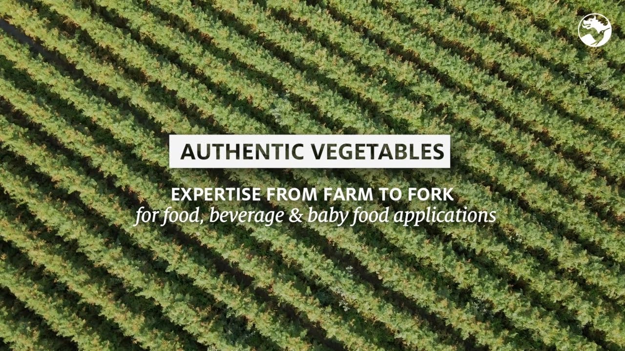 Authentic Veggies: Expertise from farm to fork