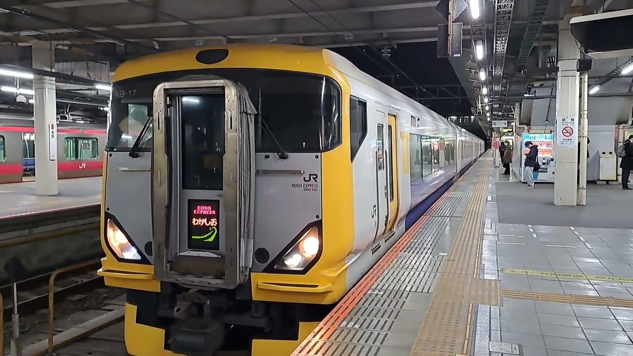 1067M特急わかしお17号、蘇我駅発車、(中学年の鉄道と野球専門チャンネル)