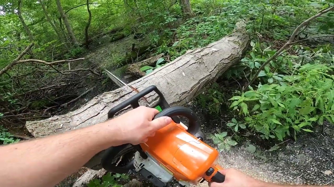 Storm Cleanup 7/2023 Part 2