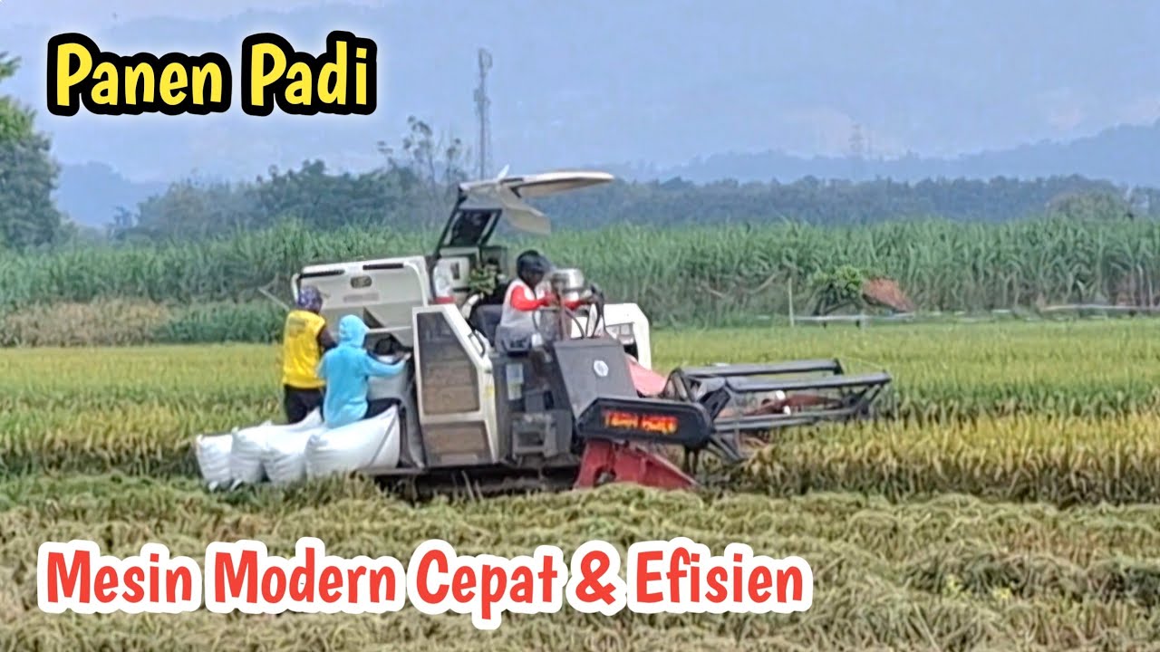 Panen Padi Modern - Cepat dan Efisien
