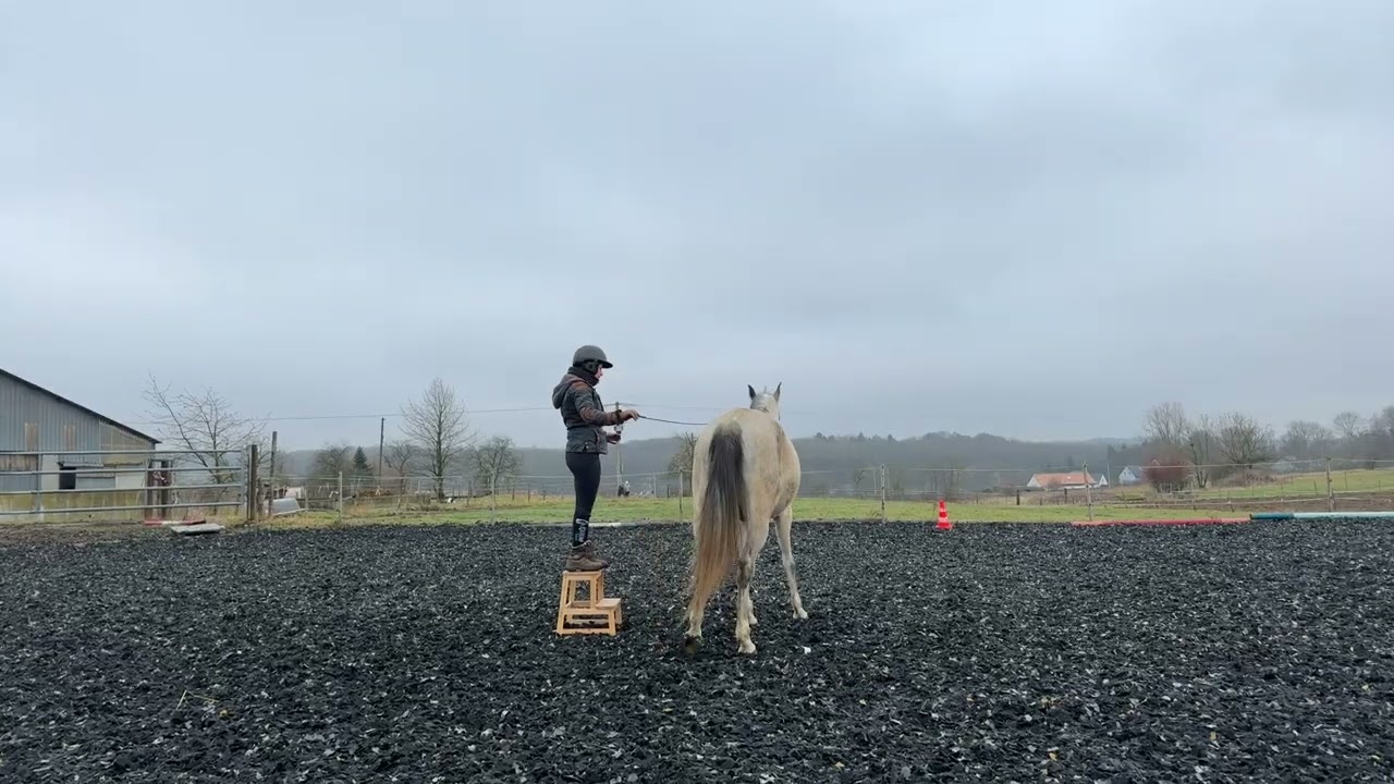 2026-01-24 Hypothèse Valdieu dressage étho