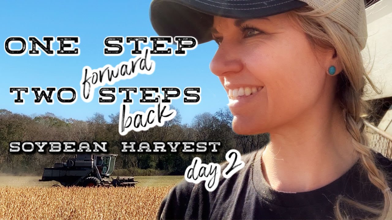 One Step Forward, Two Steps Back : Soybean Harvest Day 2