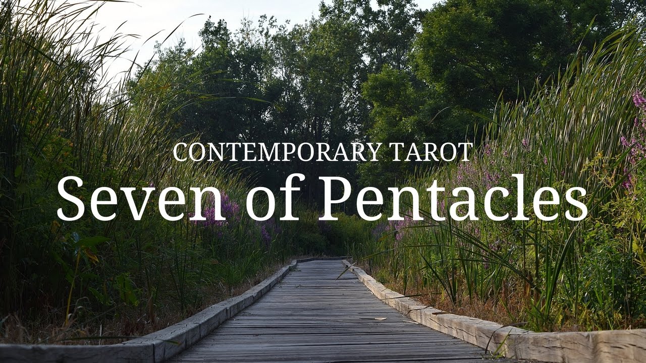 Seven of Pentacles in 3 Minutes