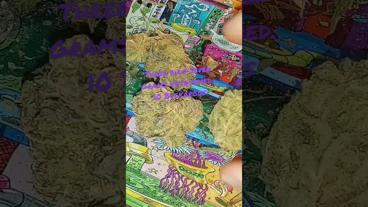 Bluniverse - Blue Magoo X Ms Universe 🌌 #weedchannel #stonersociety #plantsoverpills #cannabisheals