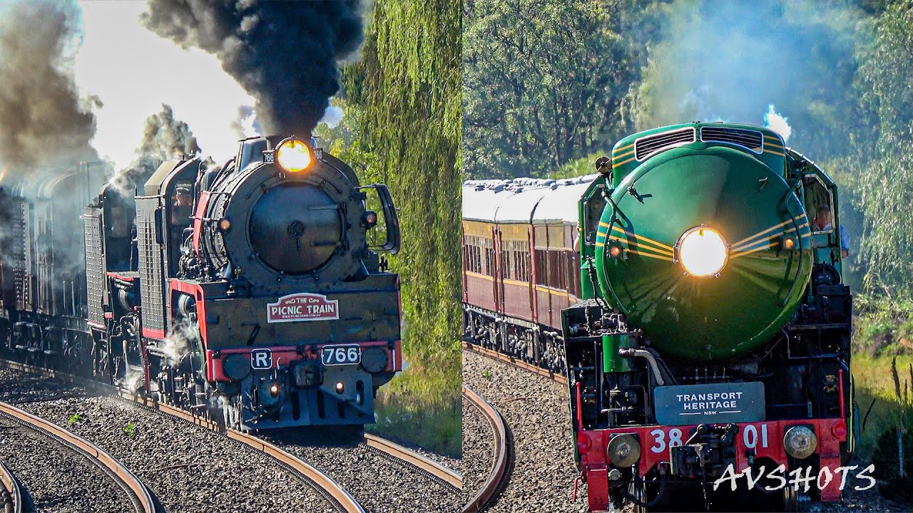 3801 , R766 AND 5917 Australian Steam Locomotives at Speed through Douglas Park | #Picnictrain