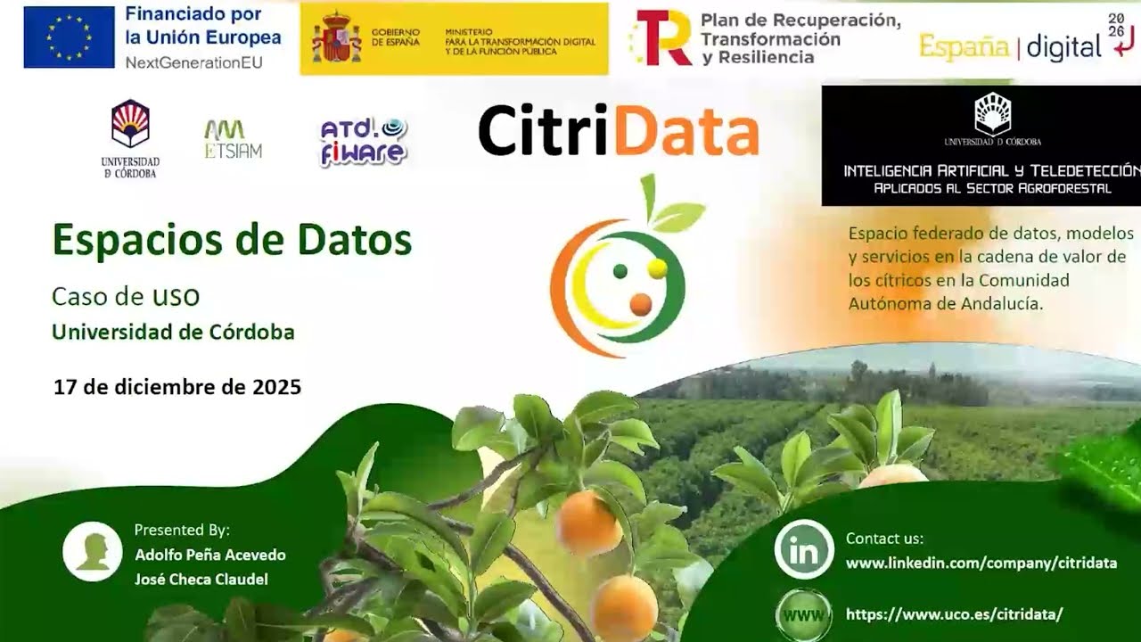 💡 10 claves para diseñar #EspaciosDeDatos eficientes - Adolfo Peña Acevedo 🎥
