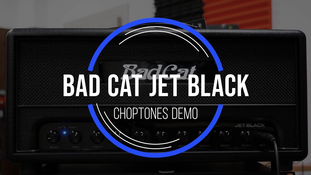 Bad Cat Jet Black | Playthrough Demo