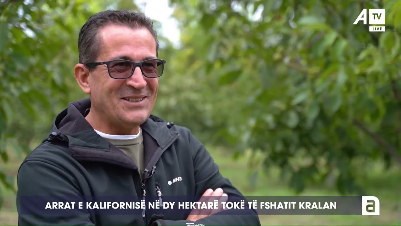 Arrat e Kalifornisë në dy hektarë tokë të fshatit Kralan
