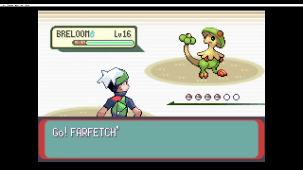 mGBA   POKEMON EMER 241 1 fps   0 10 5 2026 02 07 16 24 01
