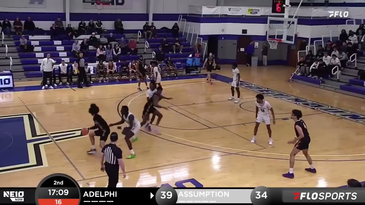 Adelphi vs Assumption - Men's | NE10 Highlights