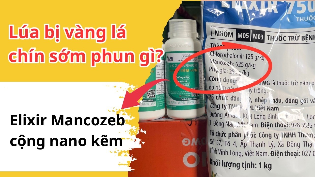 Mancozeb Elixir cộng Nano Kẽm phun trị vàng lá chín sớm