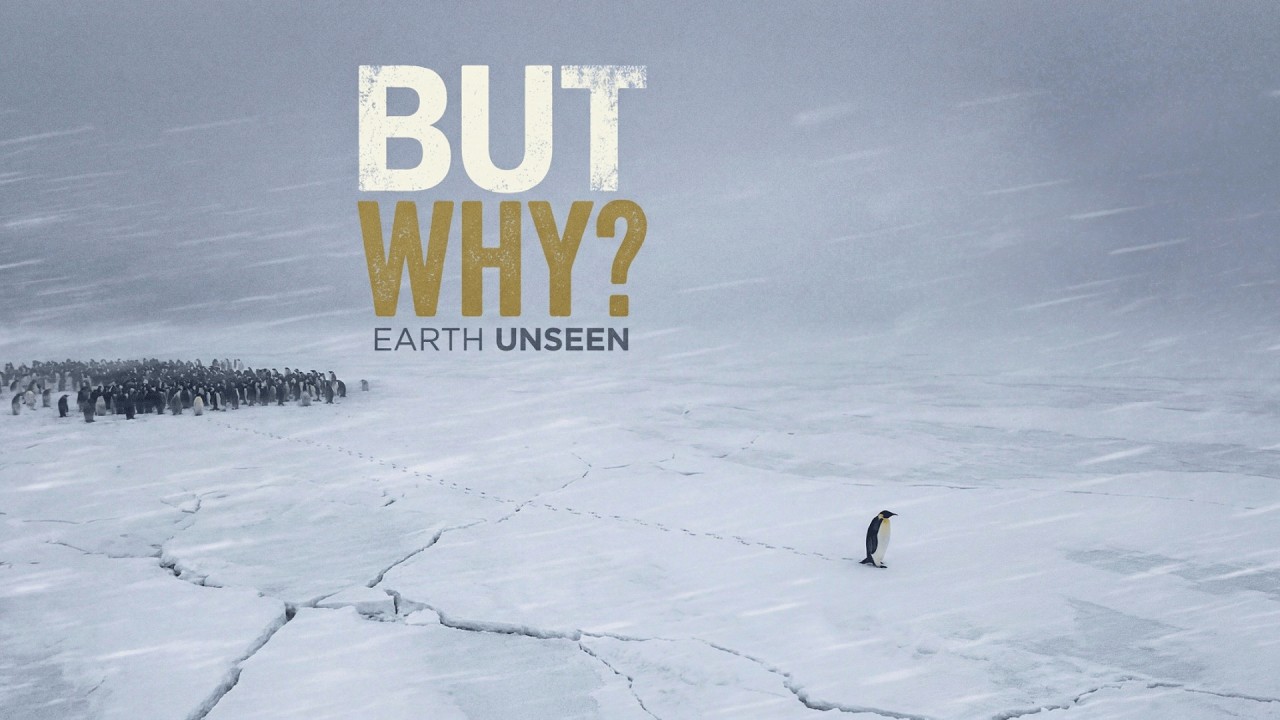Nothing About the Nihilist Penguin Was Normal