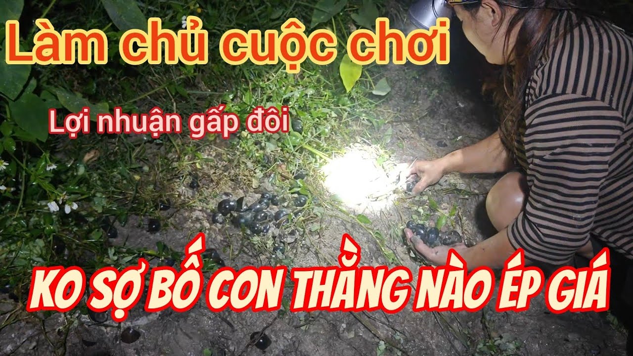 Vui thì bán ko lo bị thương lái ép giá 