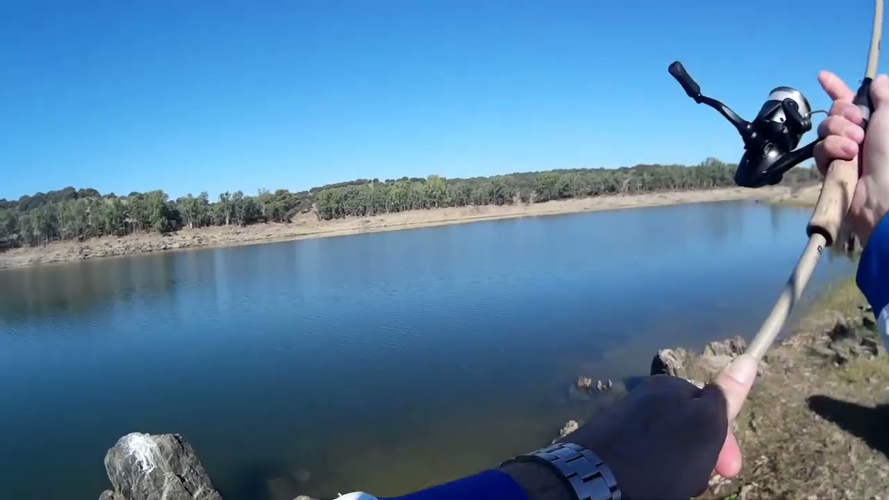 BASS PEÑALSORDO. SEPTIEMBRE 2024. GACIA SOLA (VALDECABALLEROS)