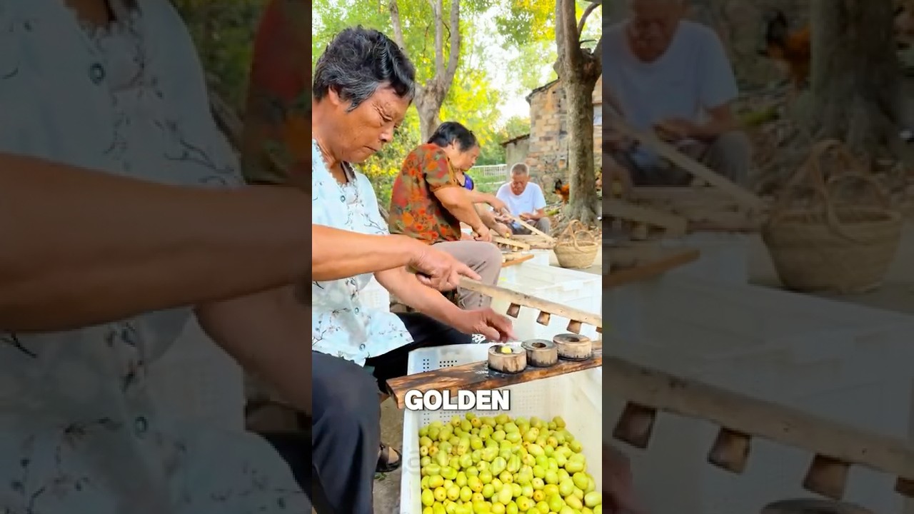 200 Cuts on One Jujube… But Why? 
