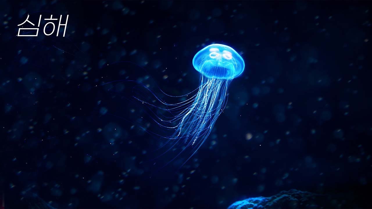 스트레스 해소 음악｜심해로 떠나는 여행｜수면, 힐링음악