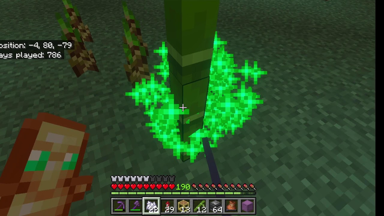 playin minecraft bedrock
