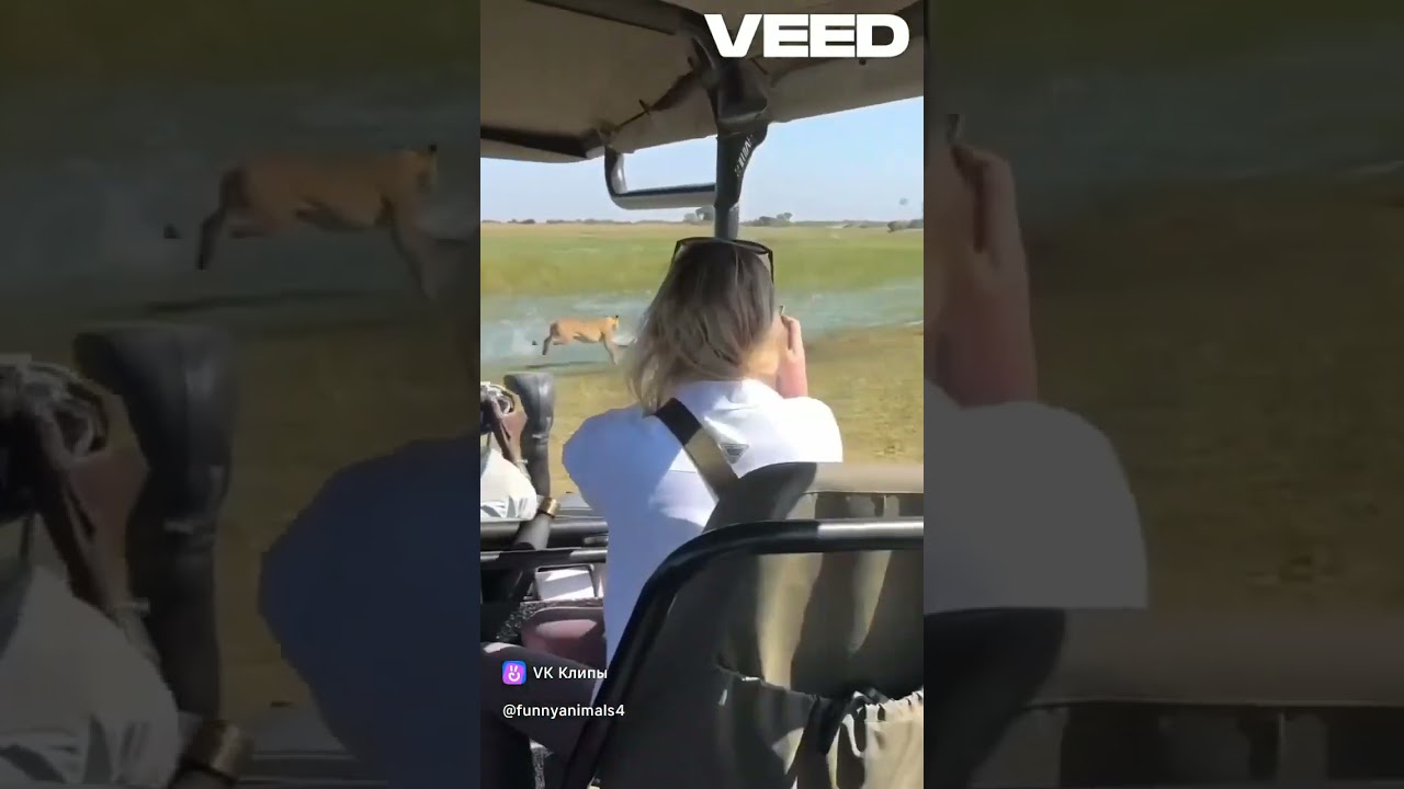 зачем уходишь ты 