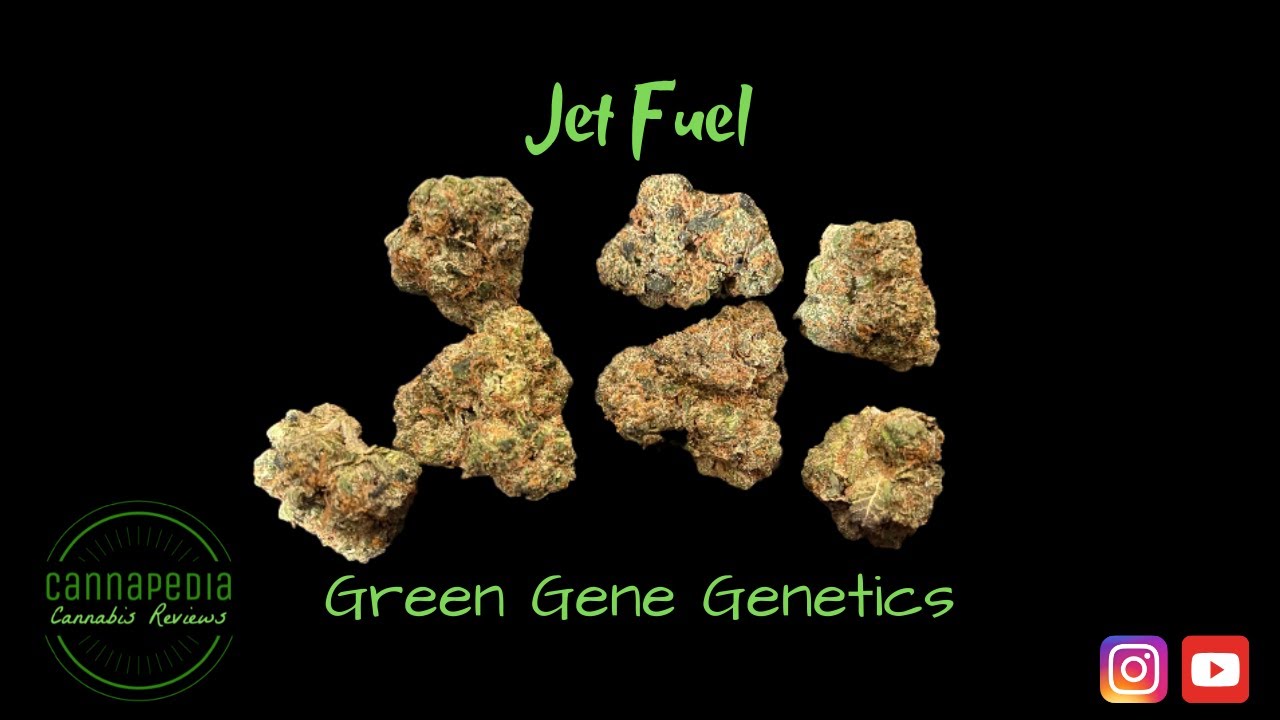 Jet Fuel Strain Review - Green Gene Genetics - Cannapedia