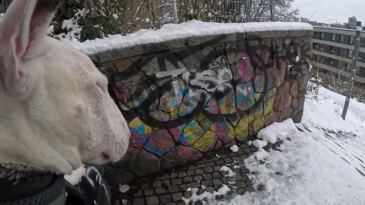 Schöne Hamburger Winterlandschaft in St. Pauli am 5.1.26
