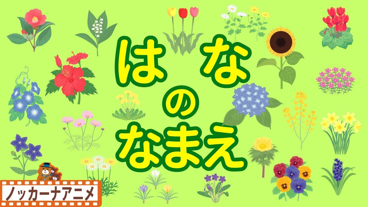 はな の なまえ★チューリップ・タンポポ・ヒマワリ★お花 いっぱい 子供向けアニメ★赤ちゃん向け知育動画 Flower animation for kids