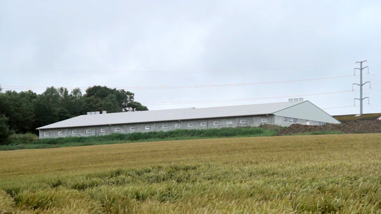 SKOV LPV-Ventilation for Pigs Dutch version