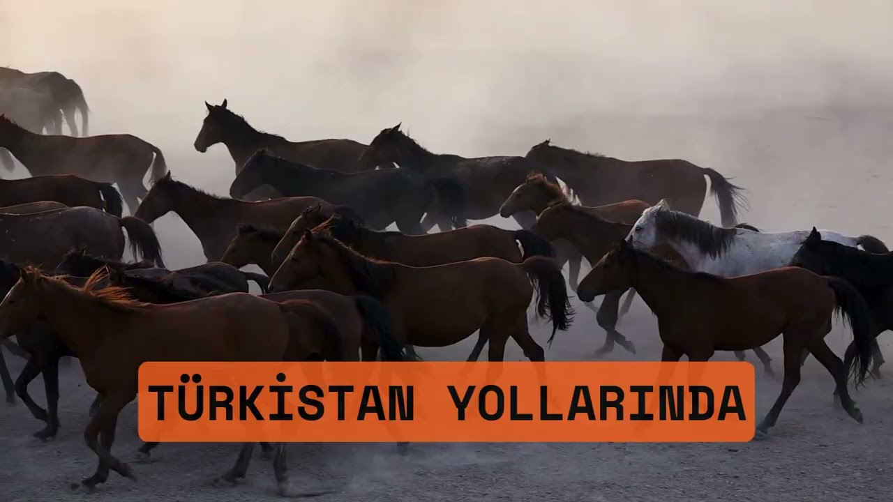 Türkistan Yollarında I Müzik Labirenti I Anatolian Music
