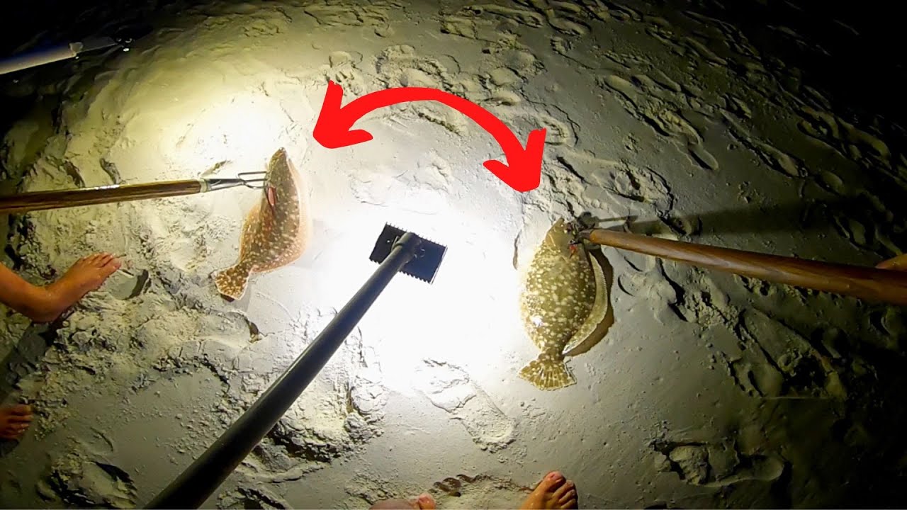 Flounder Gigging on the BEACH (Amazing Results)