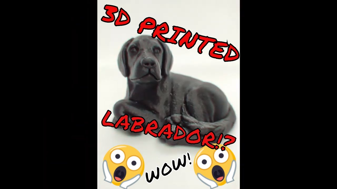DIY 3D Printed Labrador