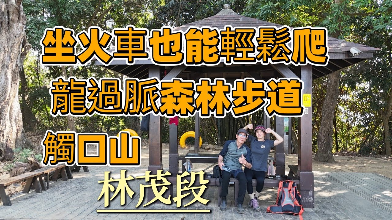 雲林林內 | 坐火車輕鬆爬的龍過脈森林步道 |坪頂社區百年老樹 | 觸口山 |濟公廟 | 神社鳥居