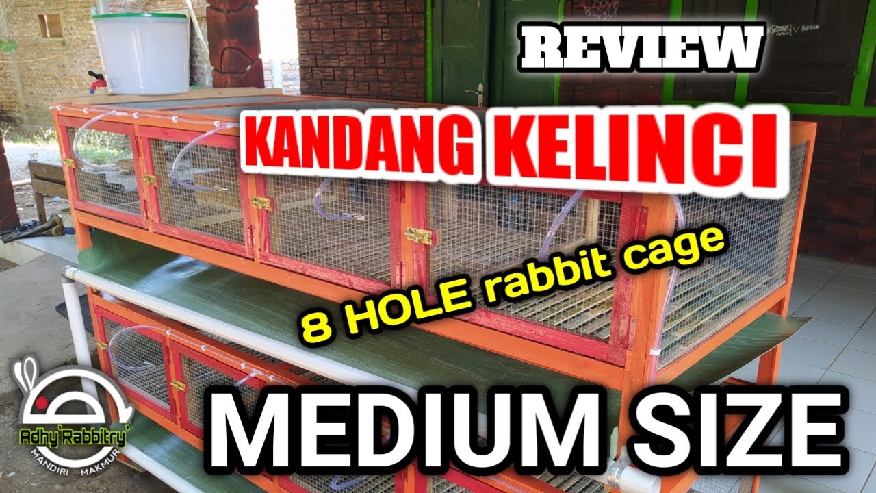 Review Kandang Kelinci / 8 hole rabbit cage MEDIUM SIZE