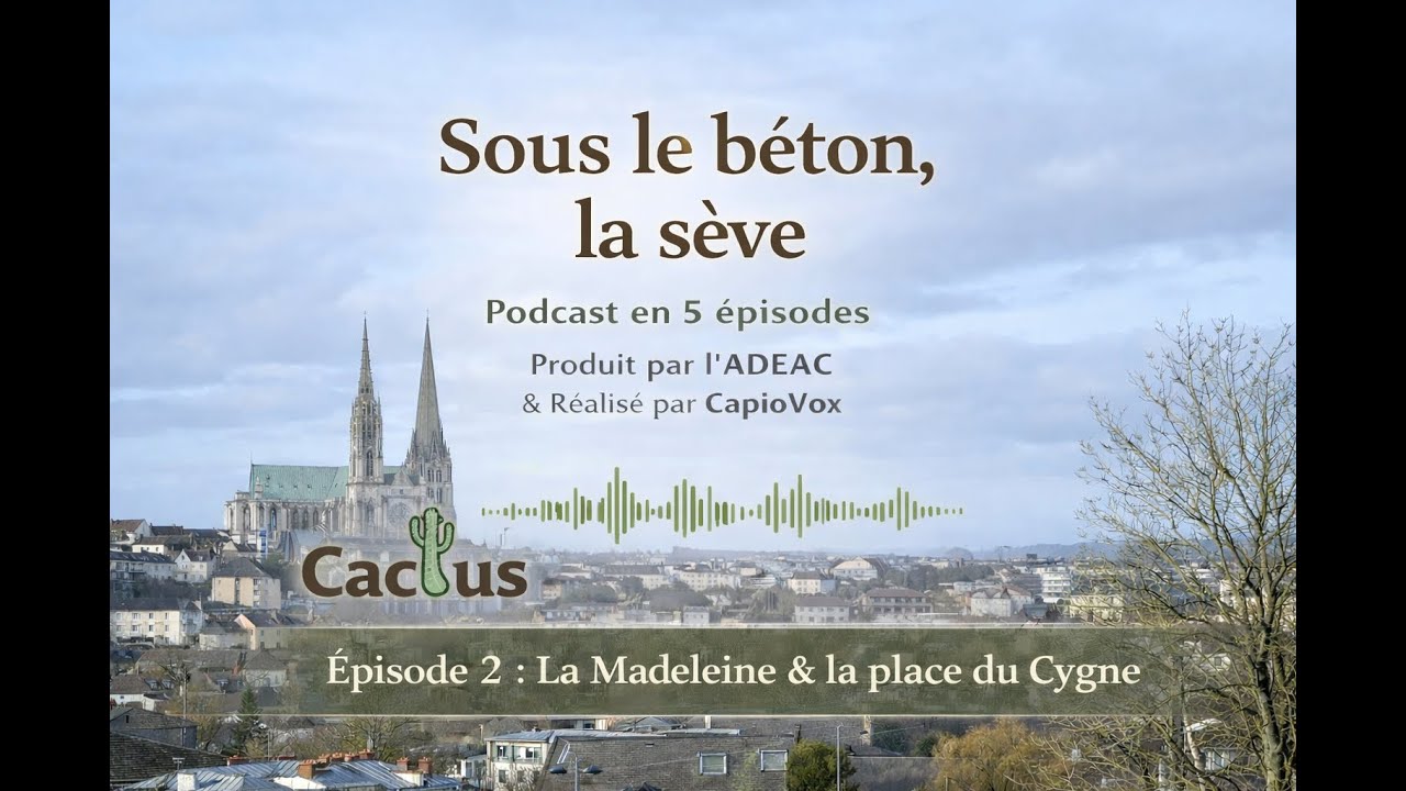 Sous le béton, la sève - Épisode 2