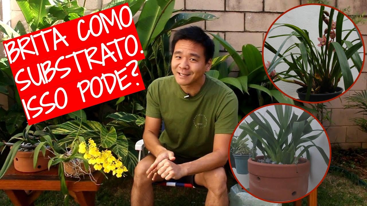Brita como substrato. Isso pode?