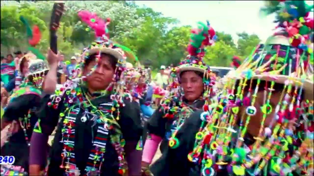 CAMINANTES DE CALIZAYA - TEMA: Amapola t'ikita (Carnaval 2021)