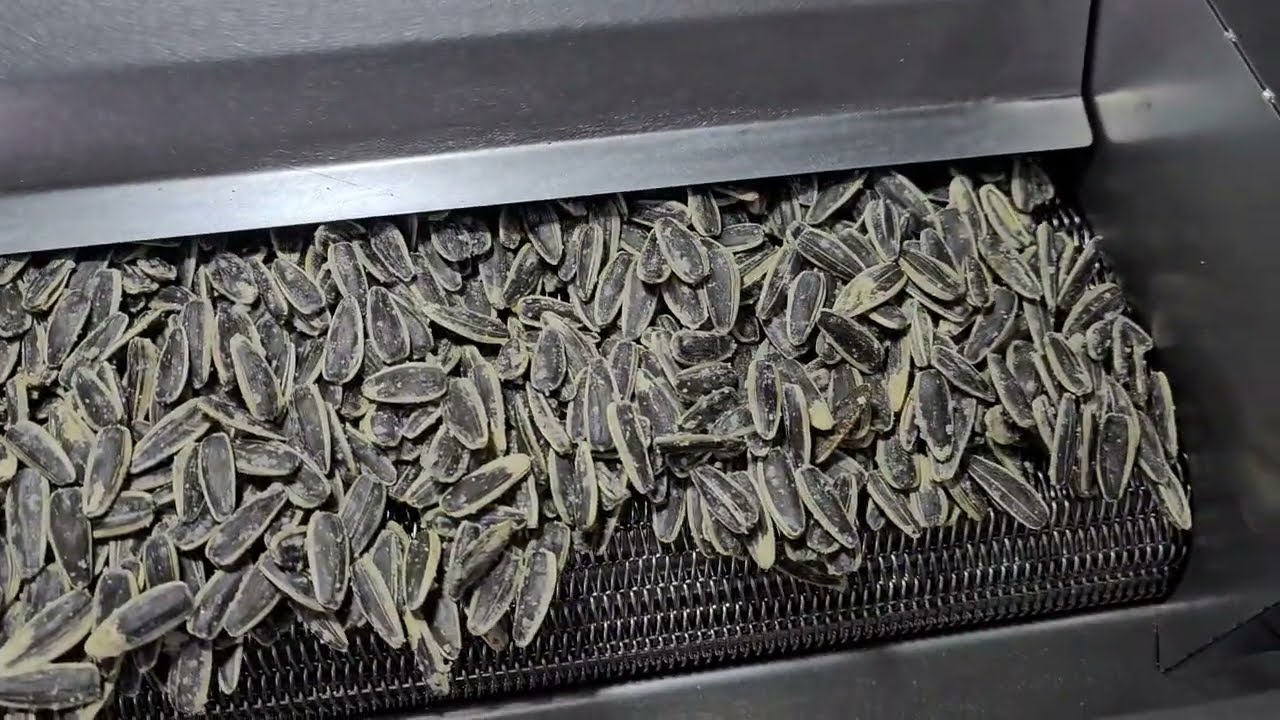Seeds Roasting Machine - machinecastle.com