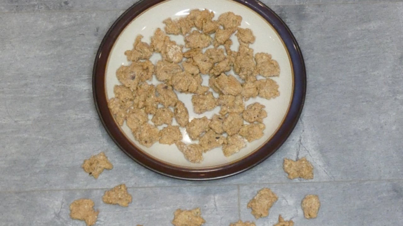 DIY Cat Treat Recipe with Sardines