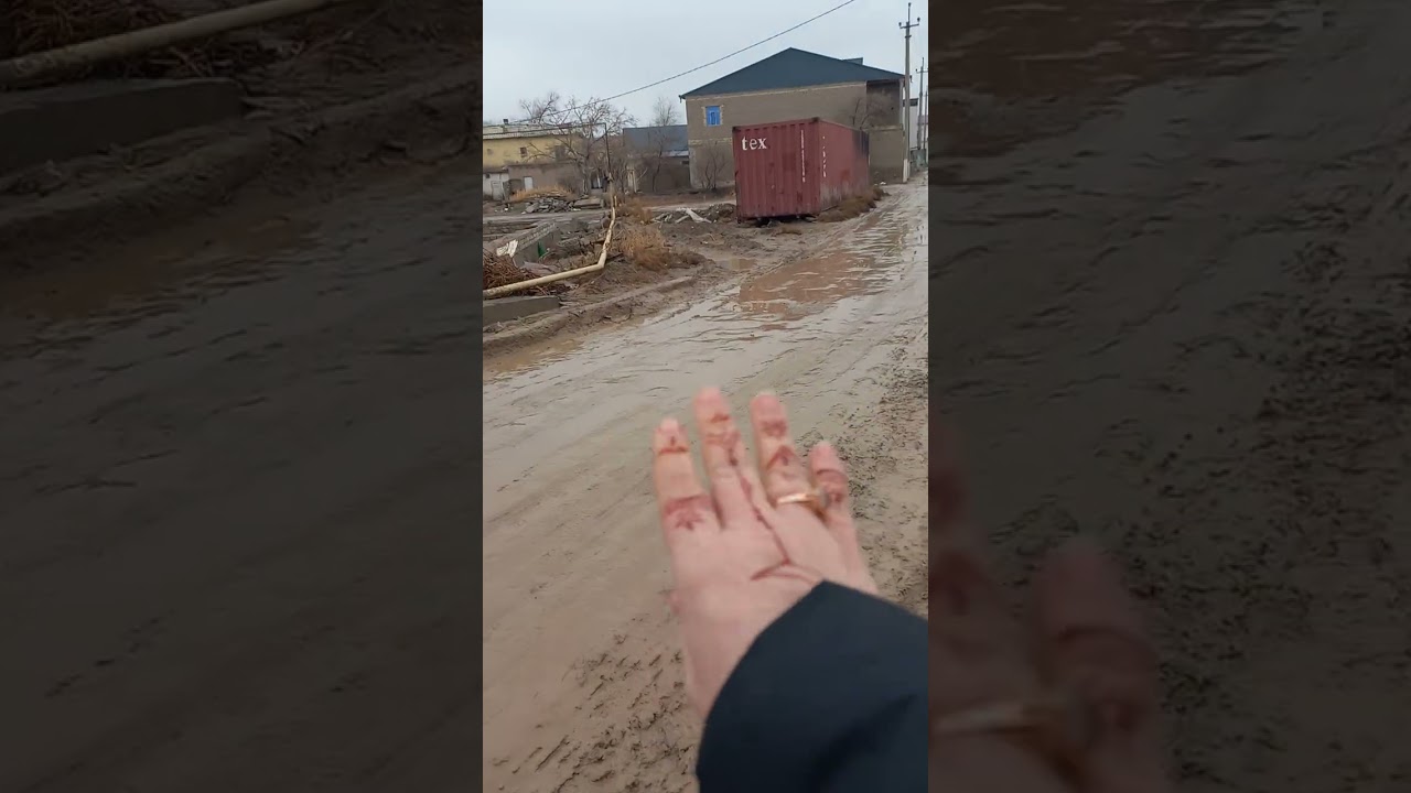 10 февраля 2026 г.