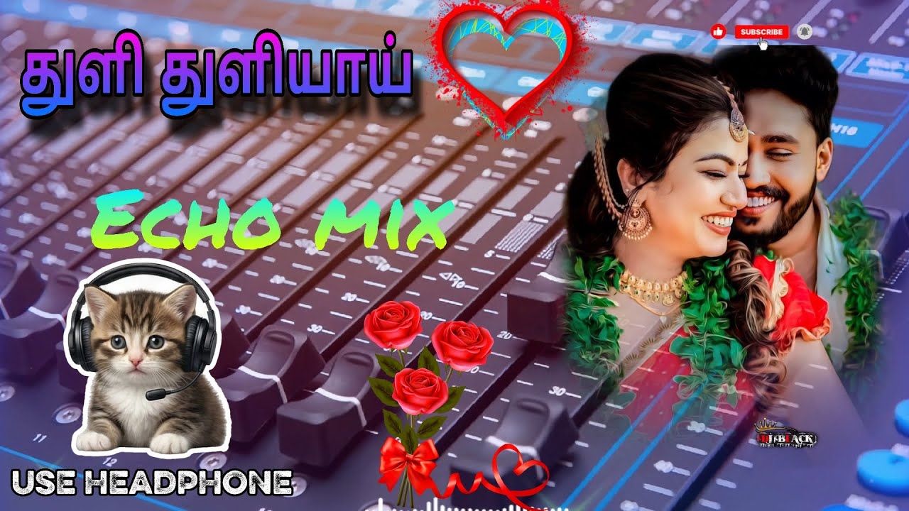 துளி துளியாய் thuli thuliyaai 💫💖✨#echomixer 🎶#echomixerbeats 🎛️ #melodyhits🎧#djmixer 🎚️#melodytamil