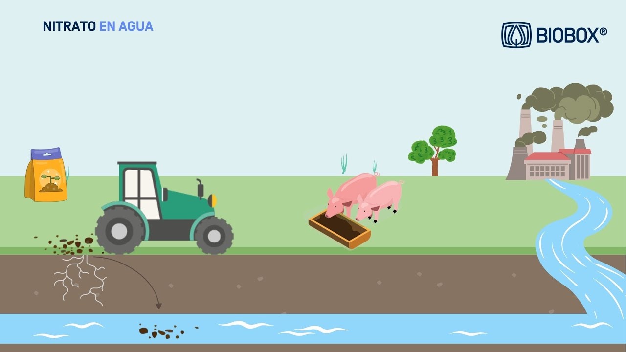 Nitratos en el Agua: Causas, Efectos y C&oacute;mo Eliminarlos
