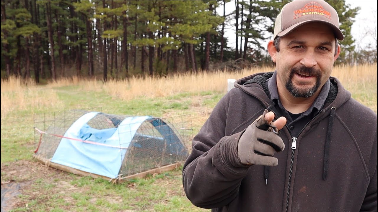 Building Shelters For the IDAHO PASTURE PIGS!