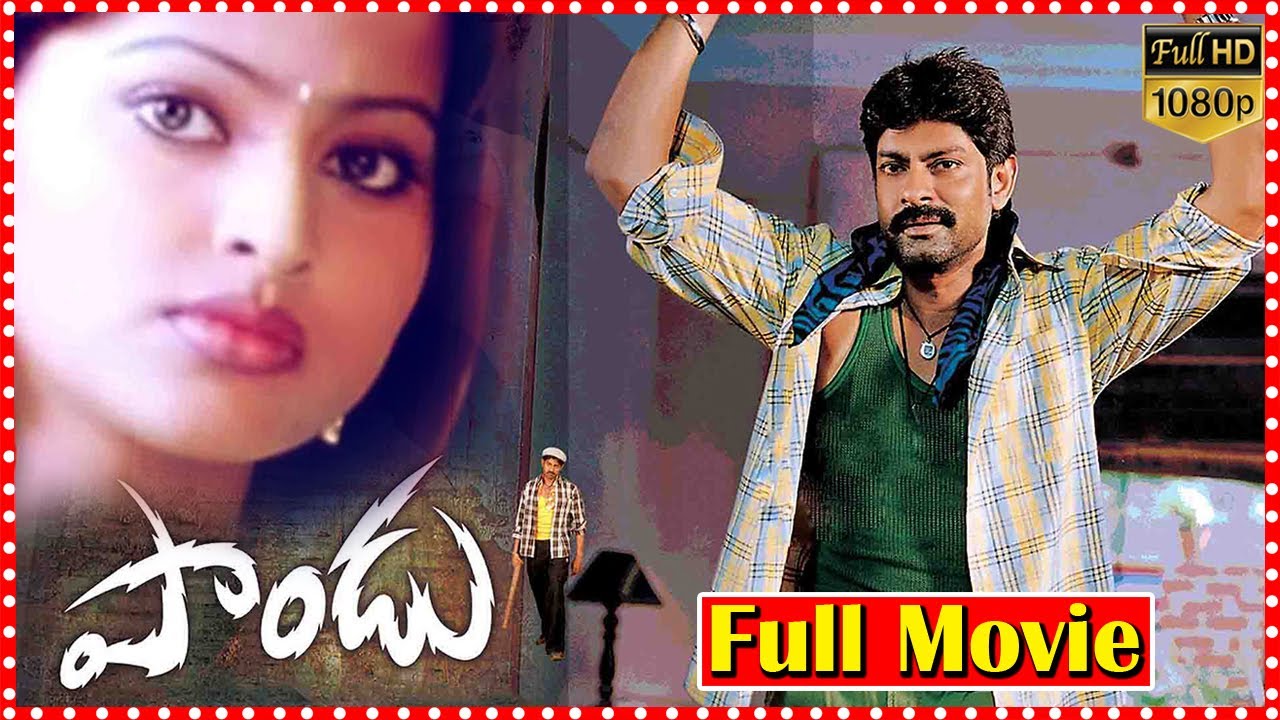 Pandu Super Hit Telugu Full Romantic Comedy Movie HD | Jagapathi Babu | Sneha | Telugu Cinemas