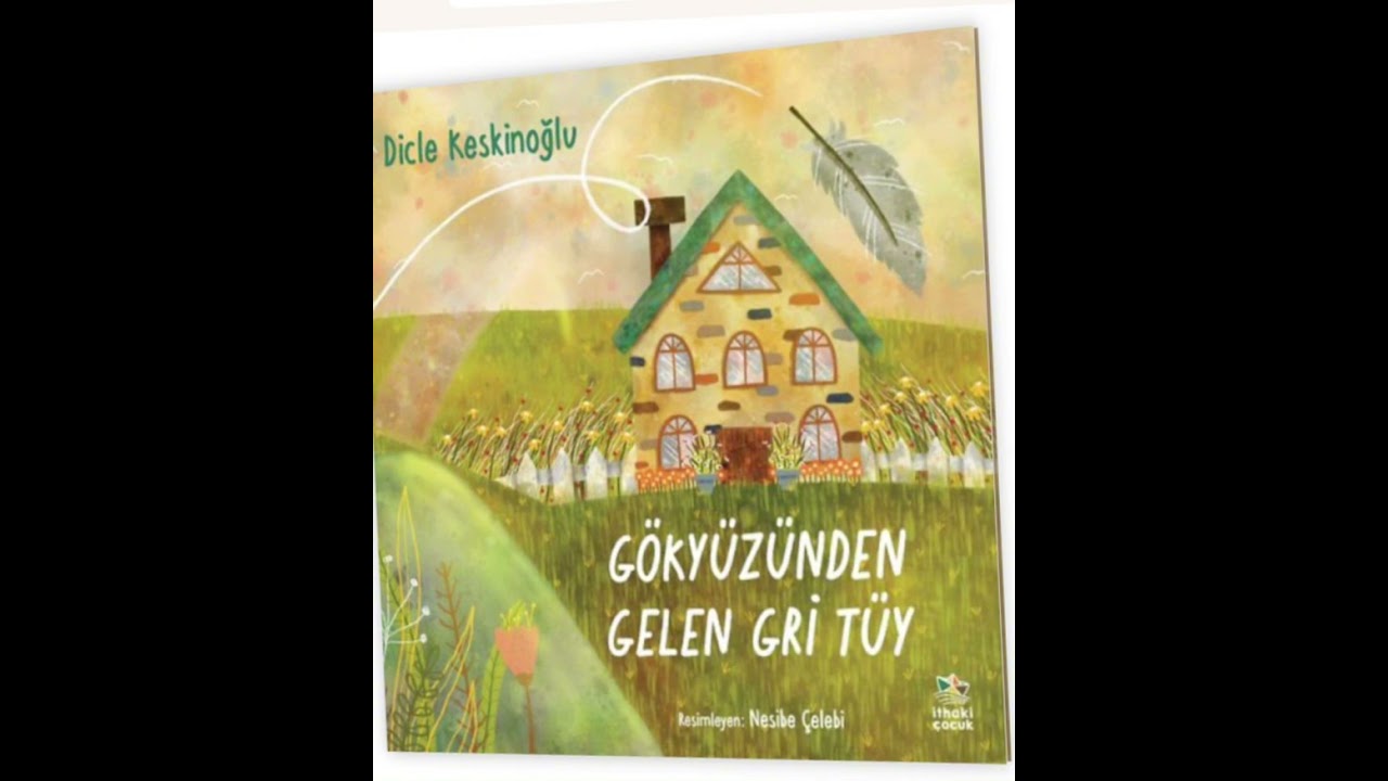 Gökyüzünden gelen gri tüy 🪶 