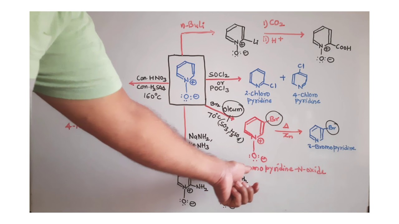 Reactions of Pyridine-N-Oxide