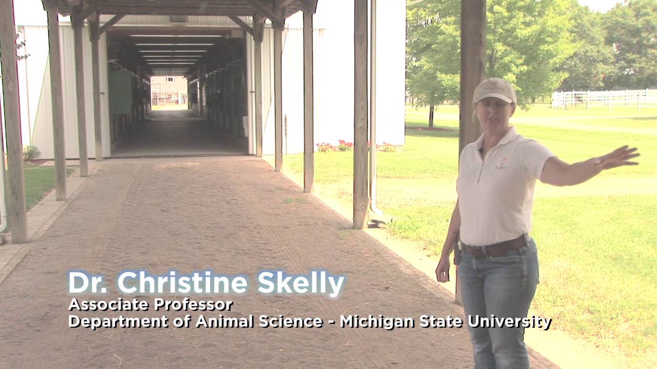 Horse Facilities: Breezeways