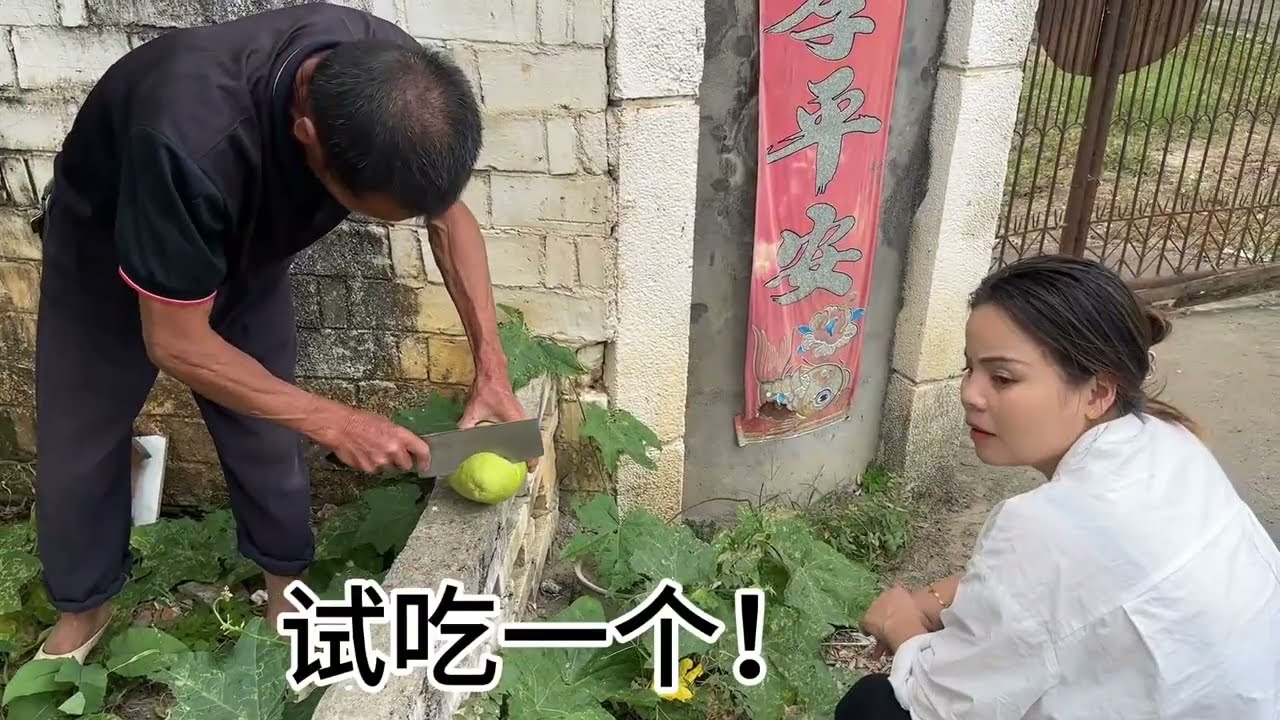 跟螃妹摘柚子的路上看到两条跟丢的狗，既可笑又可气！ #摘柚子 #家有傻狗 #乡村振兴dou行动