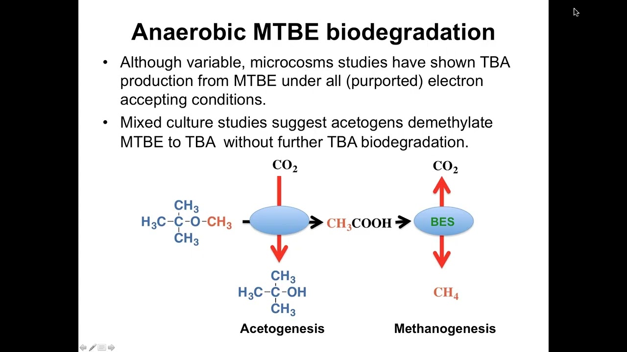 Tertiary Butyl Alcohol Production and Biodegradation  What we know, what’s new and what’s unresolved