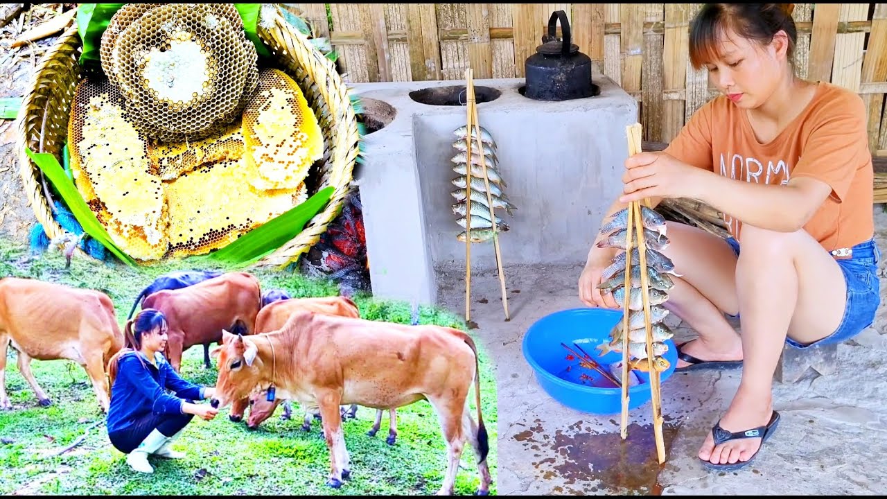 Full video Building a peaceful life - peace of mind / Living with nature